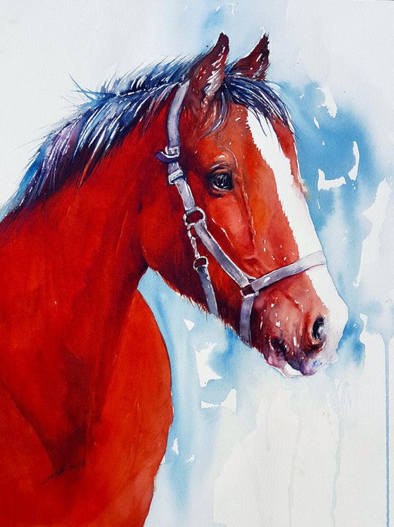 Horse in Red