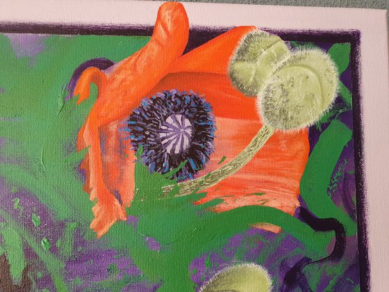 Poppies on Purple