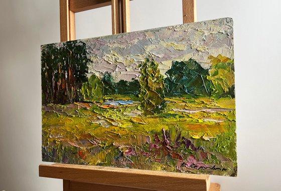 In the Summer Forest