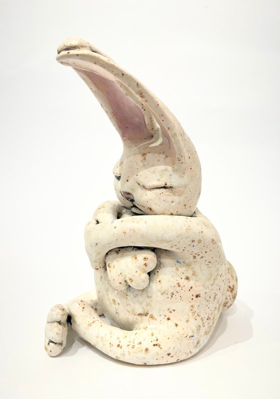 Dreamer Rabbit