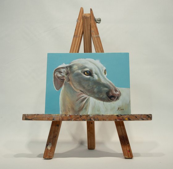 "Golden Gaze" - Greyhound Portrait