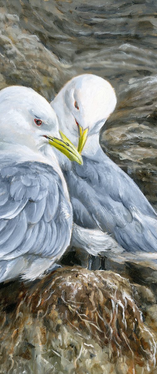 Kittiwake seabird by Una Hurst