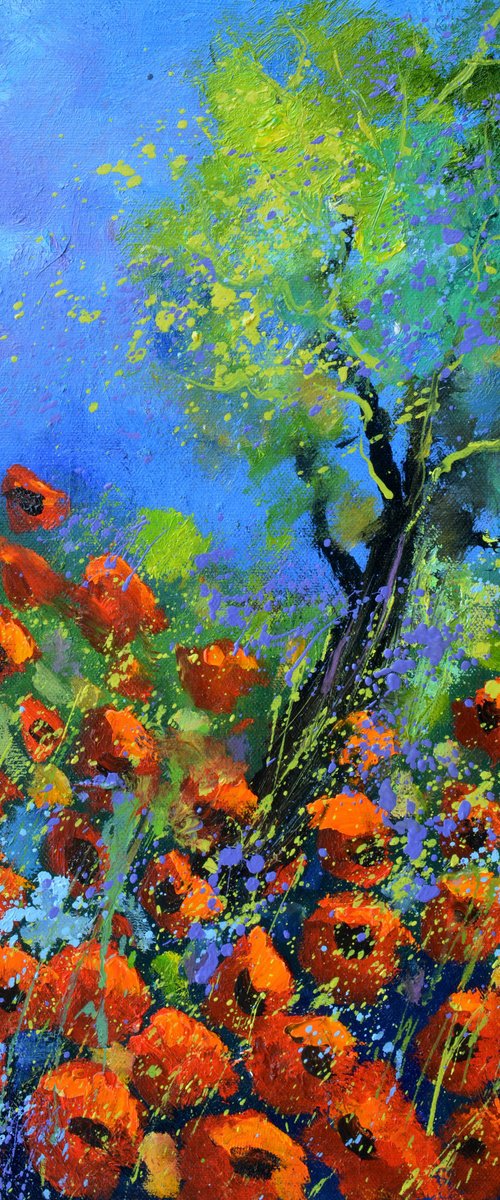 Red poppies 5623 by Pol Henry Ledent