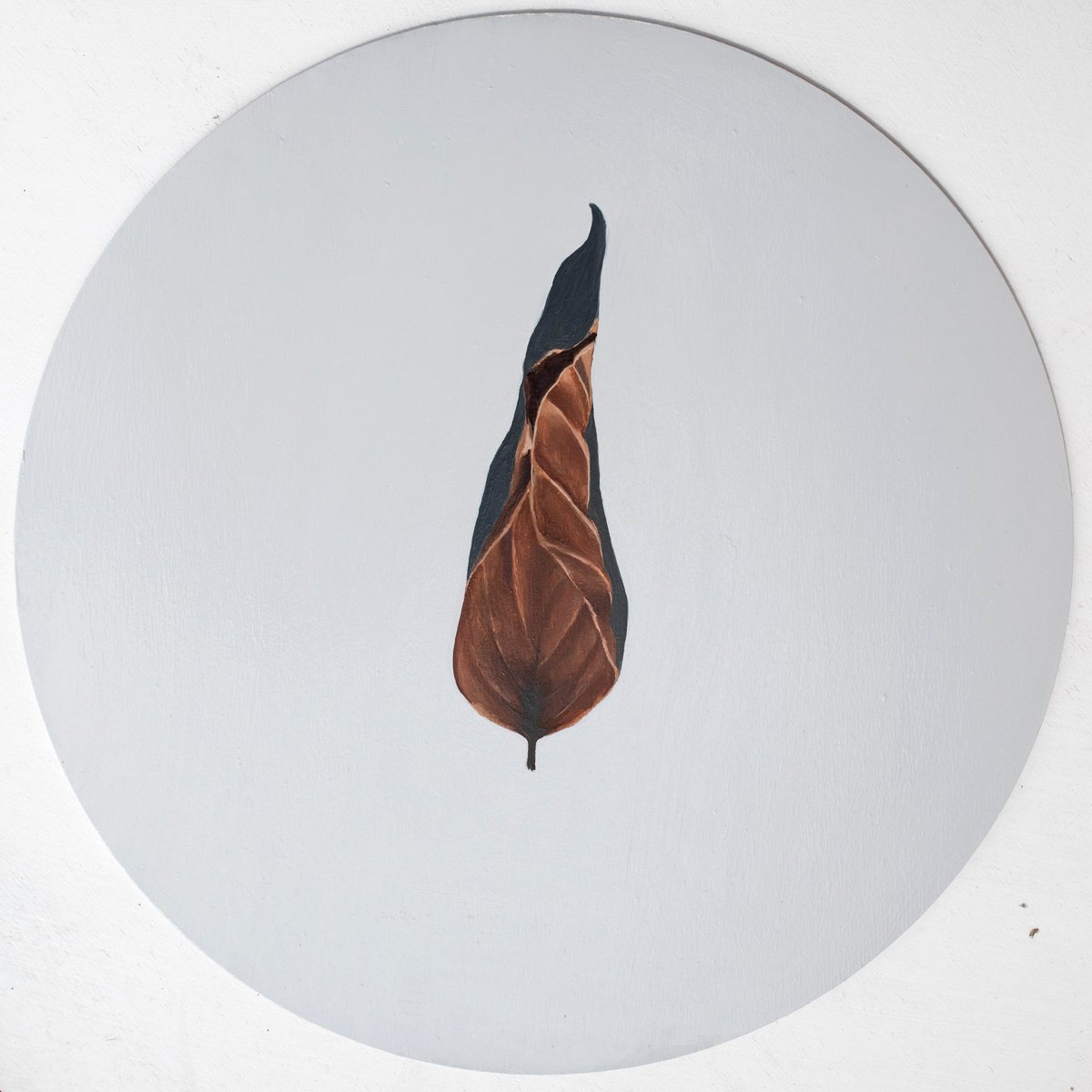 Nature doesn’t need museums (a leaf) 3 by Gennaro Santaniello