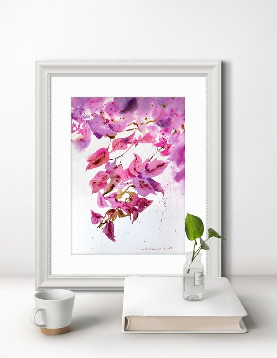 Bougainvillea Dream