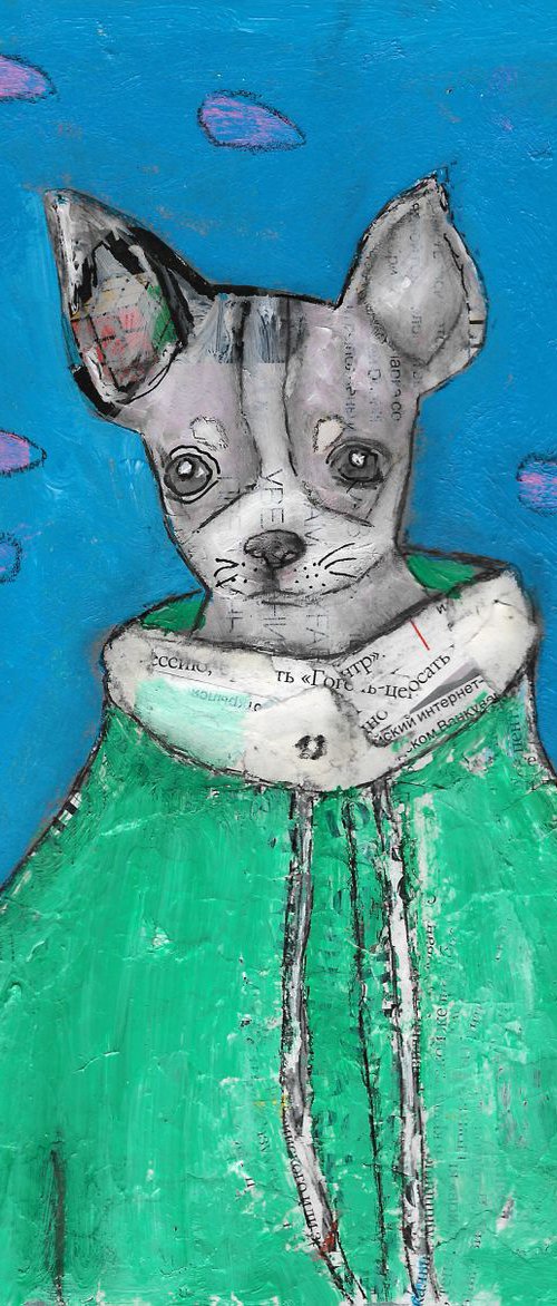 Chihuahua, who is wearing a hoodie by Pavel Kuragin