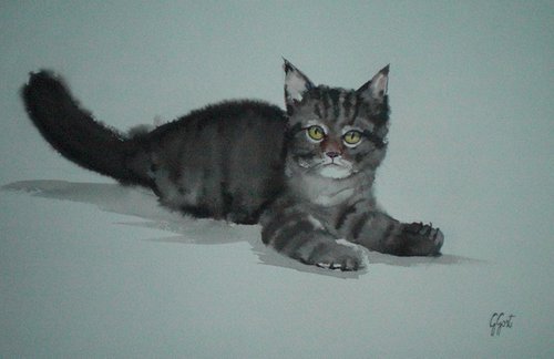 kitten 2 by Giorgio Gosti