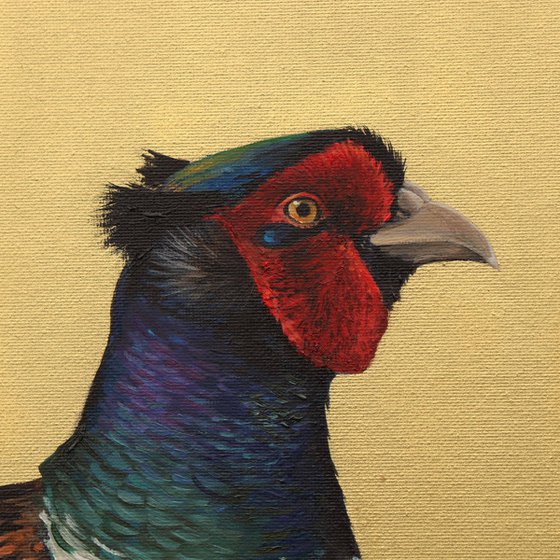Pheasant Head Portrait, Original Oil Painting, Bright Bird Painting with Gold Backdrop, not Print