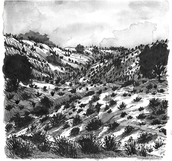 Whispering Hills / Architectural Terrain