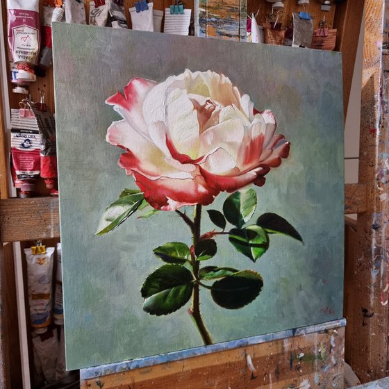 "Illuminated by the sun."  rose flower  liGHt original painting  GIFT (2021)