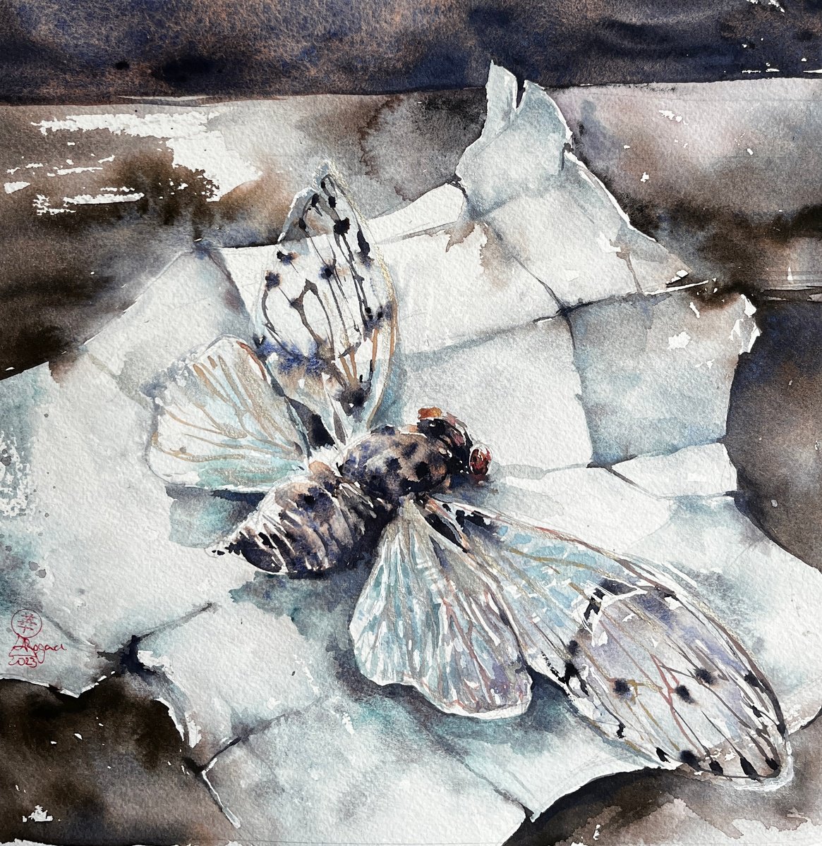 Illustrative Still Life Watercolour By Larissa Rogacheva, 10 X 10", Cicada#6, Original Artwork
