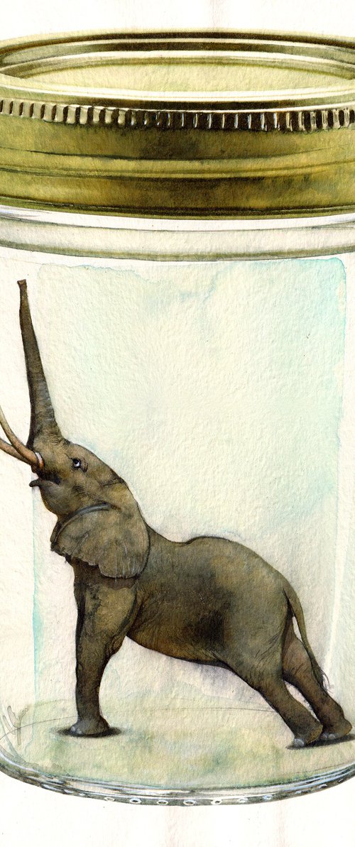 Little Elephant in a Jar by REME Jr.