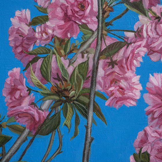photorealism - cherry blossoms