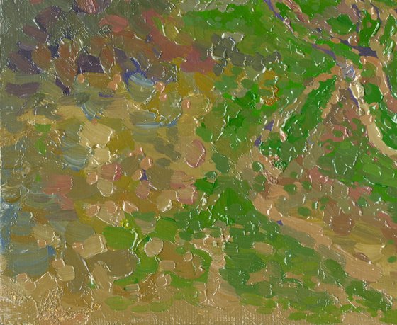 Trails by the Seryona River