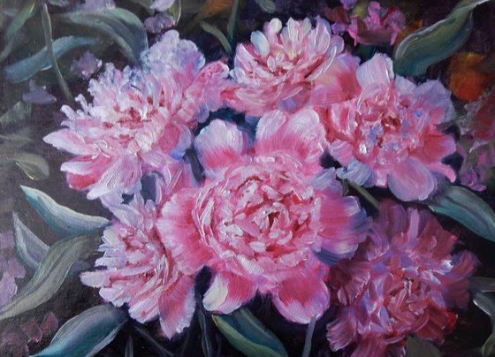 Peonies (2)