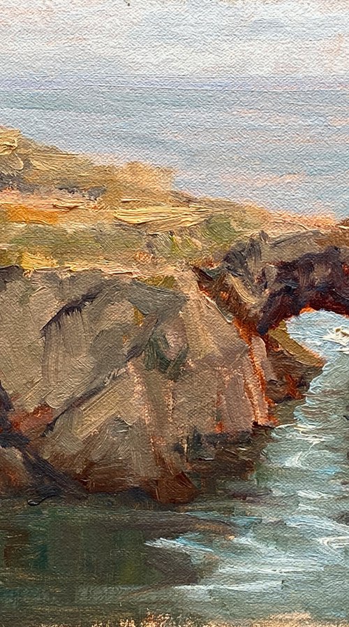 Keyhole Rock Mendocino Seascape by Tatyana Fogarty
