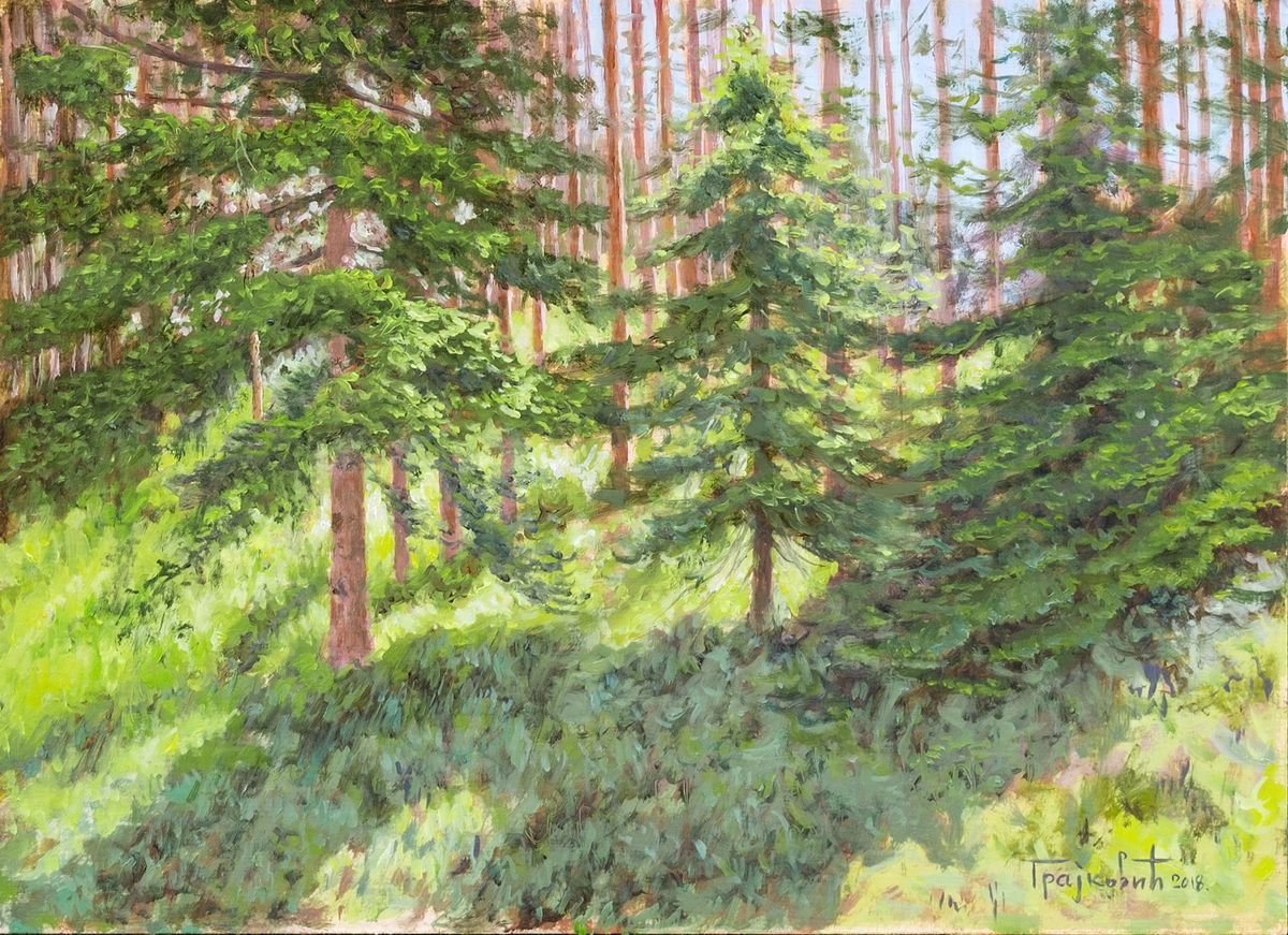 Impressionistic Landscape Oil Painting By Dejan Trajkovic, 15 X 12, Sun In The Pine Forest, Original Artwork