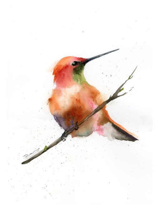 Hummingbird on a branch by Olga Shefranov (Tchefranov)