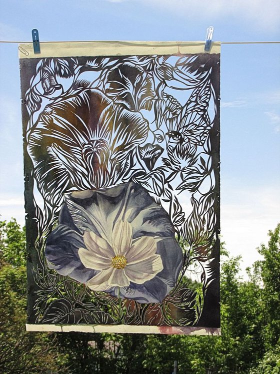 cosmos with morning glory