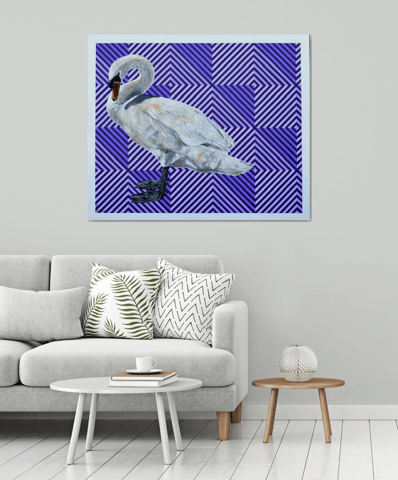 swan 5