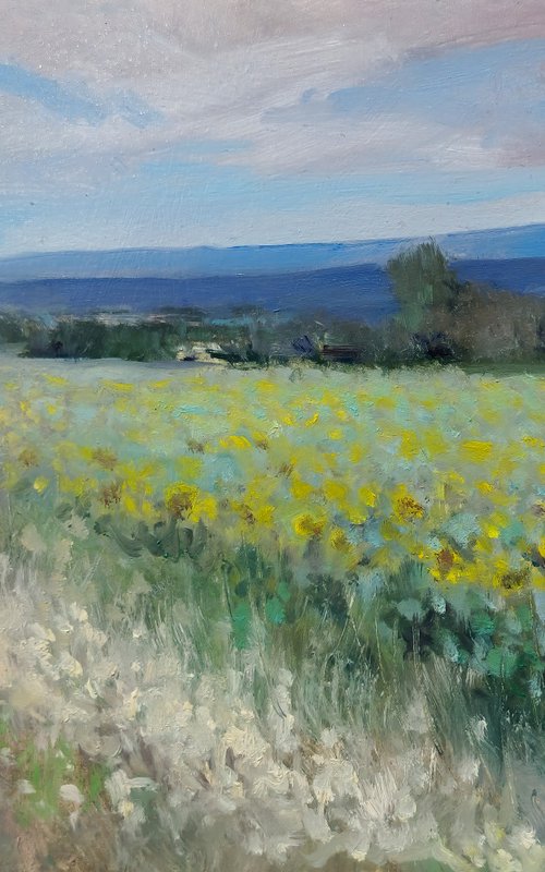 Sunsflower at St Jean by Pascal Giroud