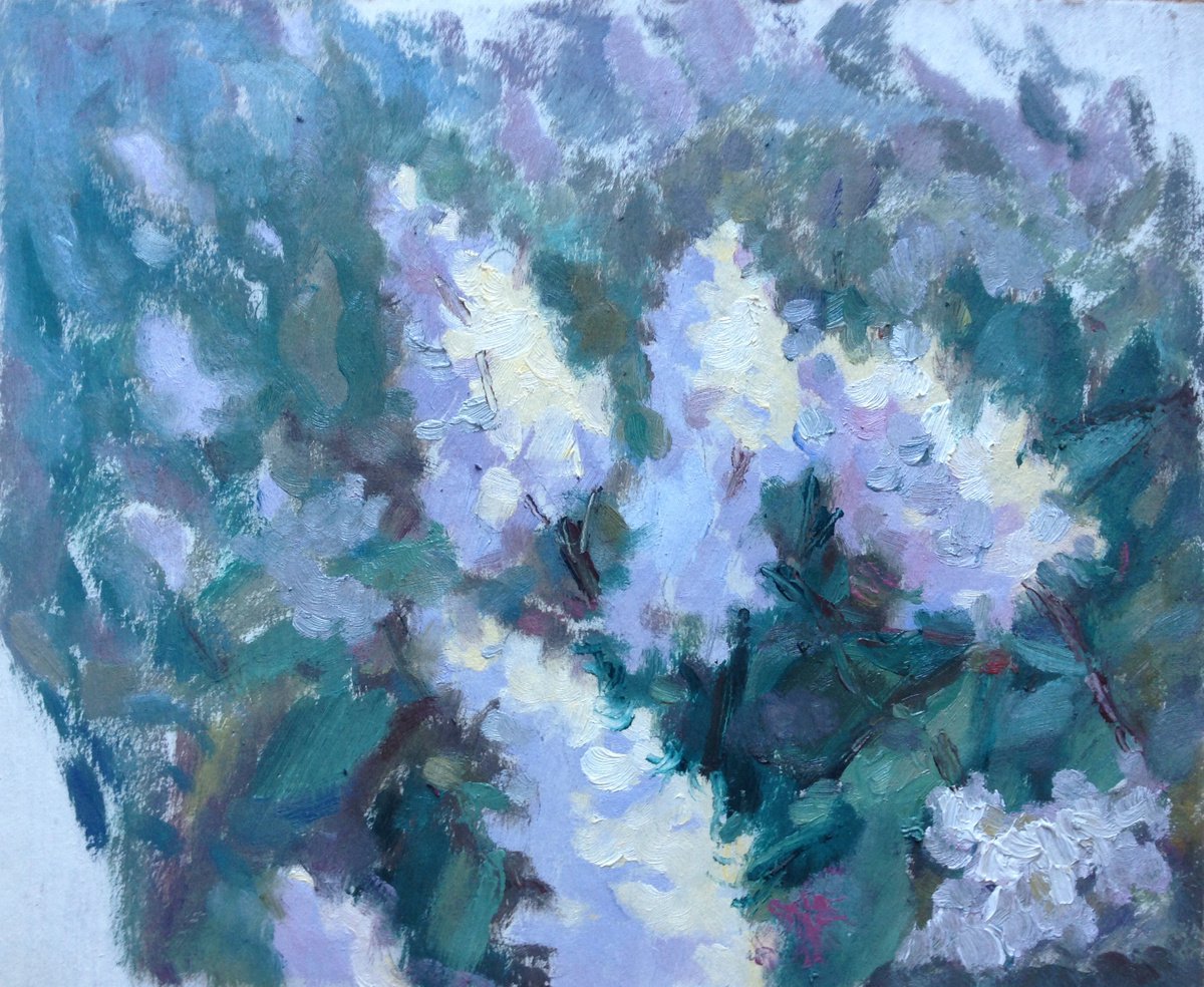 White lilacs blossom by Roman Sergienko
