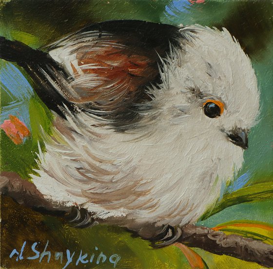 Bird, Silver-throated Bushtit