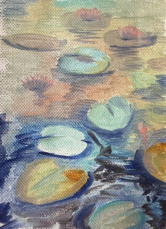 Water lilies