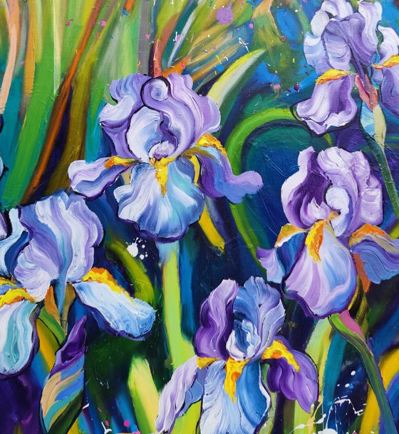 Iris Fields