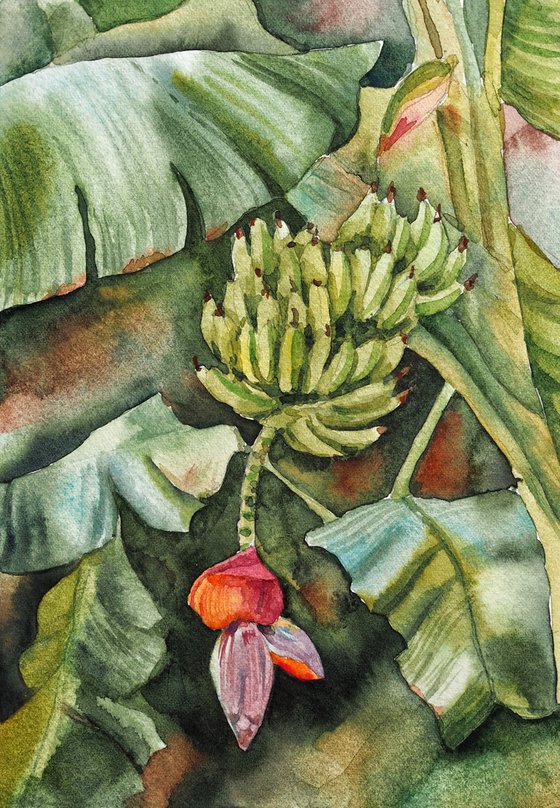Bananatree - original tropical green watercolor