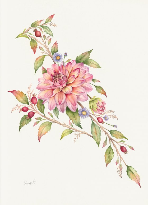 Dahlia Plumage