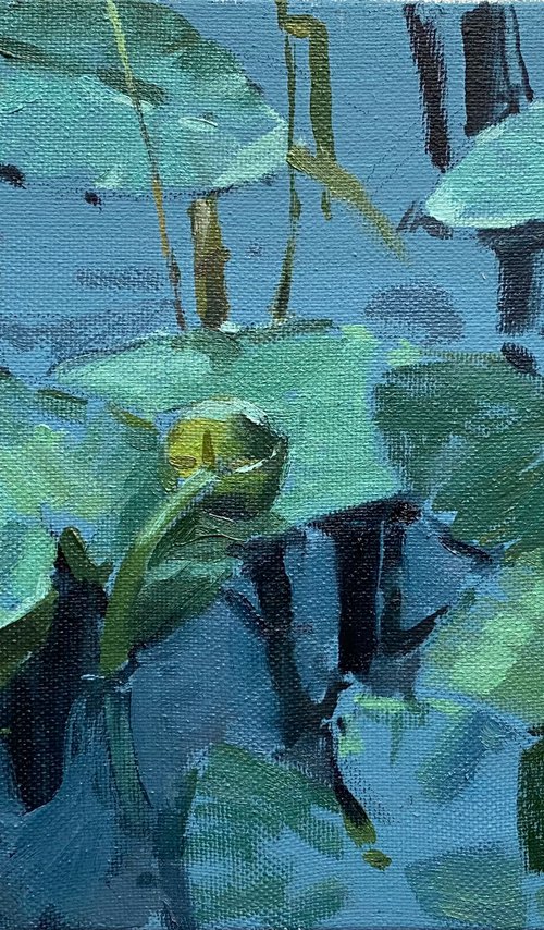 Water lily original  oil painting by Nataliia Nosyk