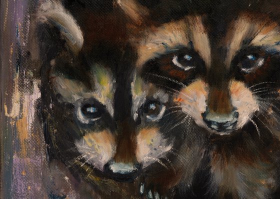 Raccoon Family