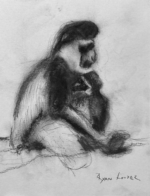 Gibbon and Baby study by Ryan  Louder