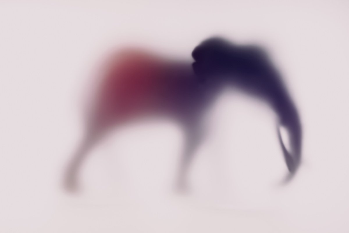 Abstract Animal Photograph By Sven Pfrommer, 47 X 31", Wild Lens - Elephant Xx, Original Artwork