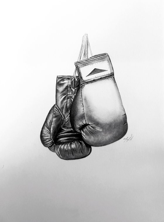 Boxing gloves