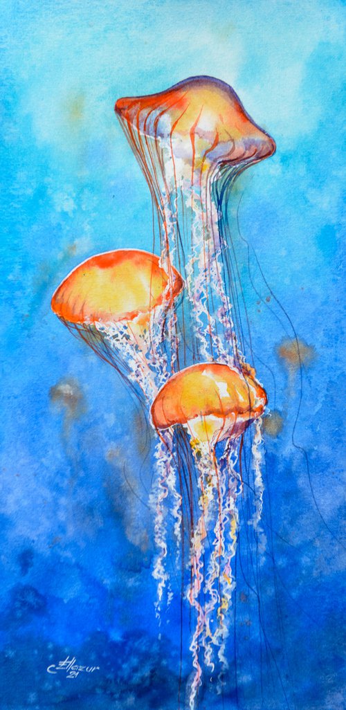 Jellyfish by Eve Mazur