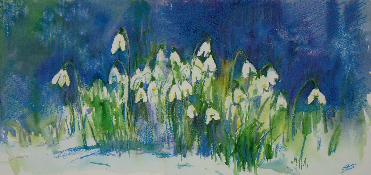 Snowdrops by Elena Sanina