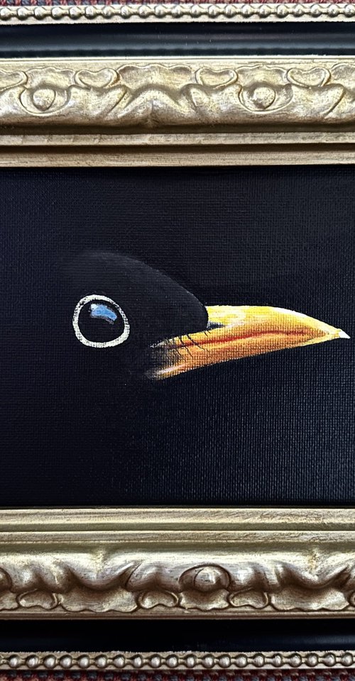 Blackbird by Kaz  Jones