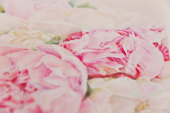 Pink Peony Flowers