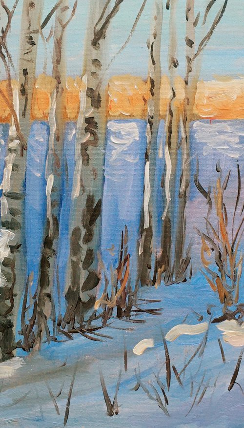 Winter birches by Elena Sokolova