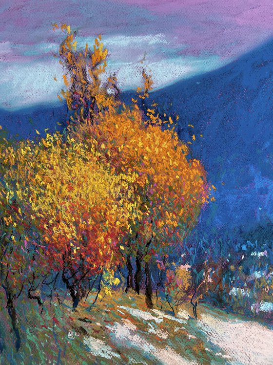 First Snow in the Carpathians