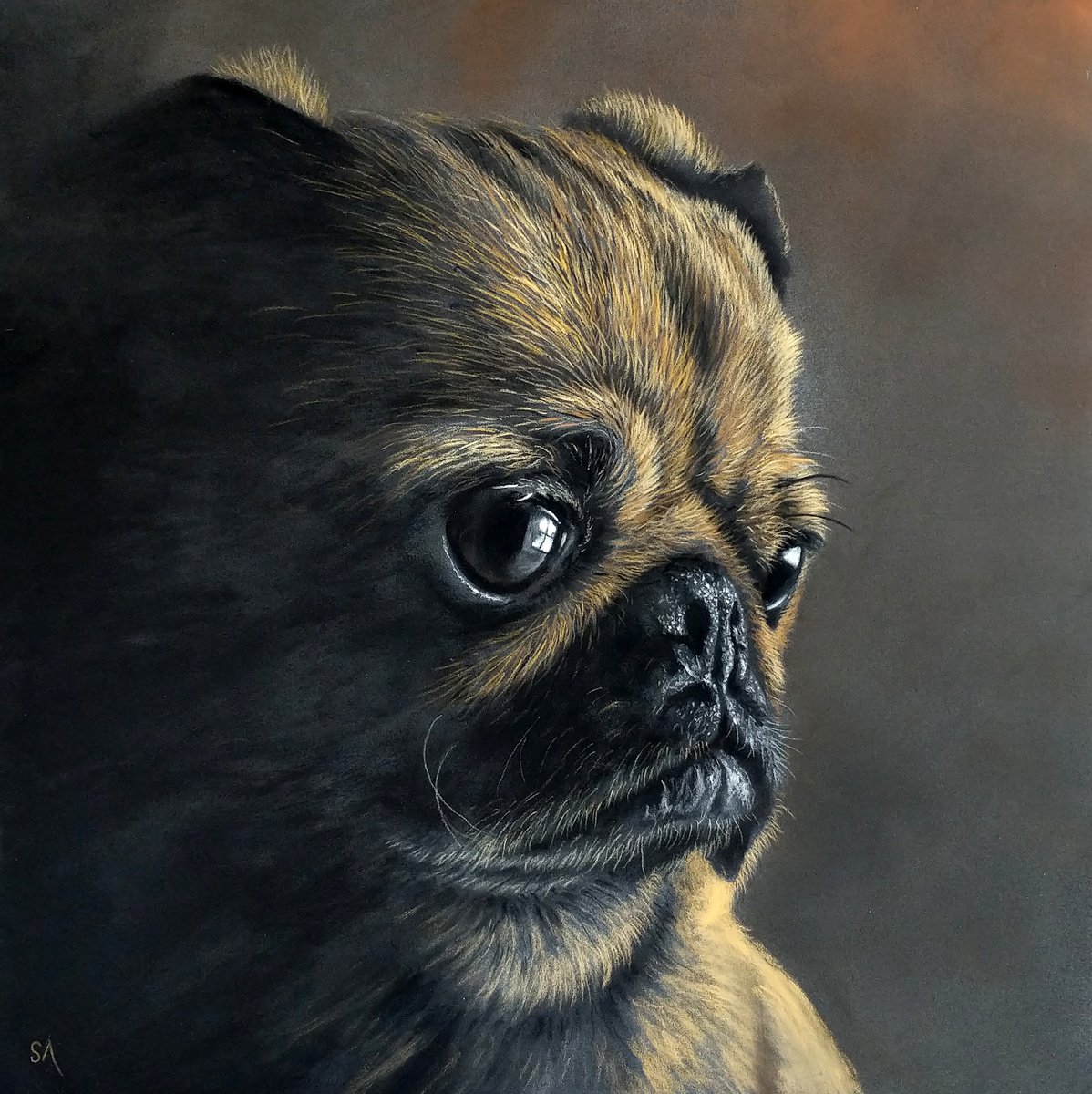 Pug Portrait ll (Original Painting) by Sean Afford