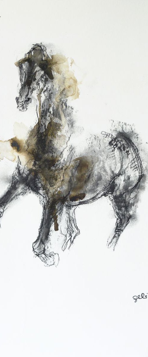 Equine Nude 72t by Benedicte Gele