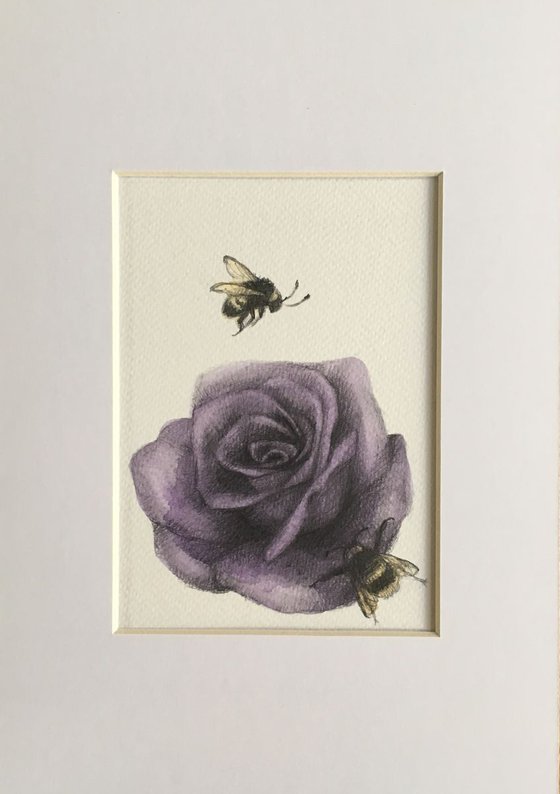 Purple rose and bees