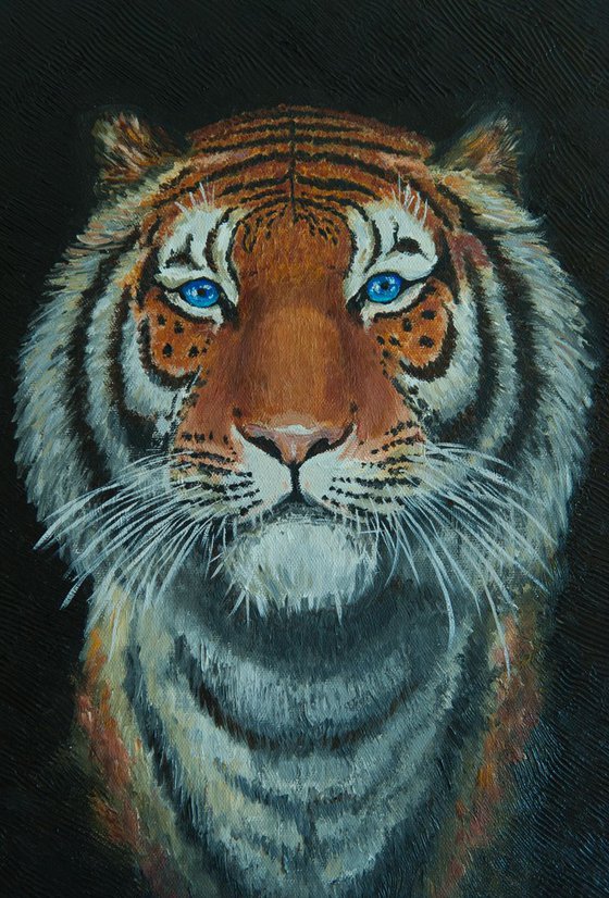 The Eyes of the Tiger