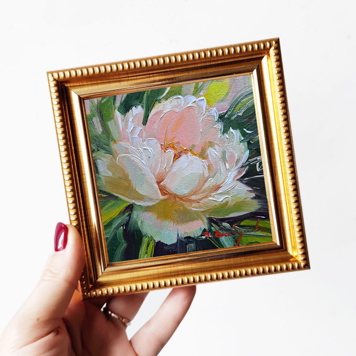 Small oil painting original framed art pale pink peony flower 10x10 cm by Nataly Derevyanko