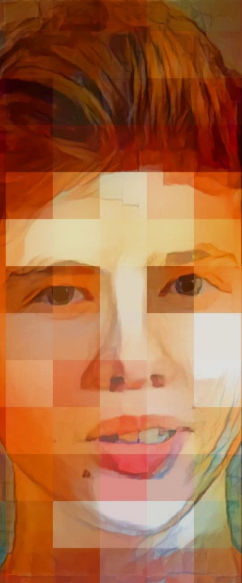 Pixels's portrait II by Danielle ARNAL