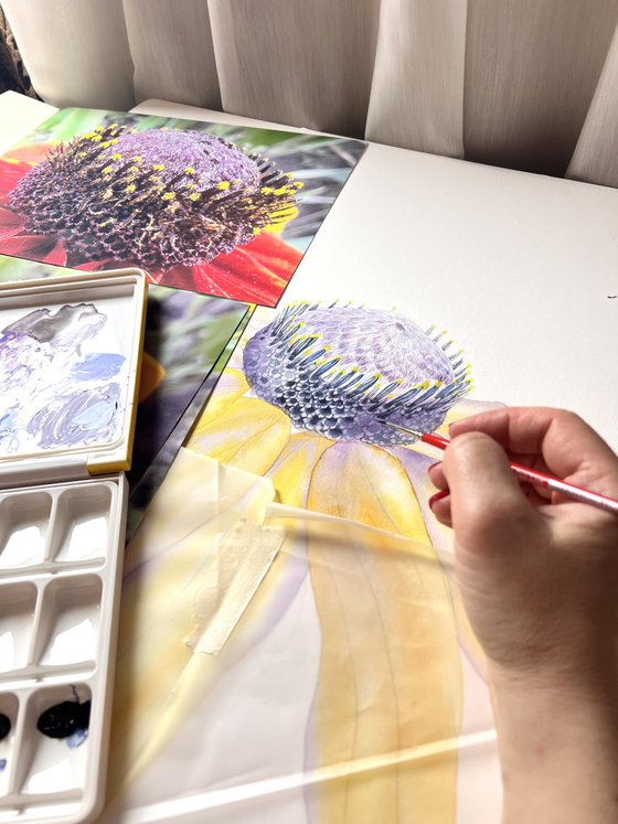 Greetings to the sun