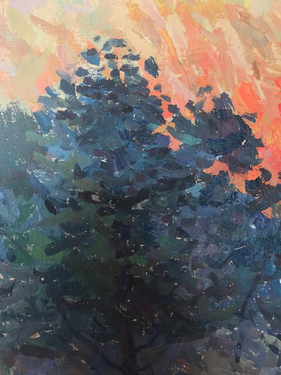 Sunset behind the forest